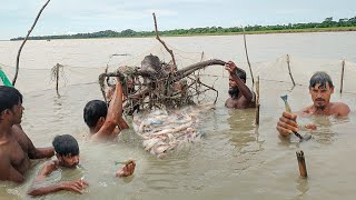 গাছের গোড়ায় এত চিংড়ি মাছ পাবো বিশ্বাস হচ্ছে না। Best Fishing Technique 2024। Shrimp fishing videos