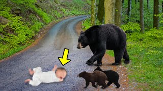 The Man Threw His Son On The Road, Then a Bear Did Something Very Amazing!