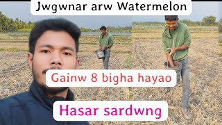 8 Bigha Watermelon and Pumpkin Farming #dbvlogs121