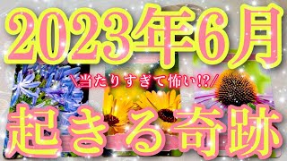 [💖６月の奇跡]一粒万倍日✨大安🌟最強開運日💖お待たせいたしました💖スーパーリーディング✨