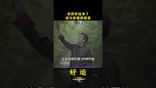 周文强：不管你经历了多少，从这一秒开始你的人生开始发生改变！#周文强 #人生感悟 #好运连连