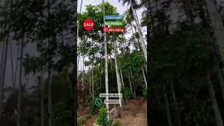 3.5 acre land with 5 BHK House for sale in Veliyambam,Wayanad @ 47 lakh....