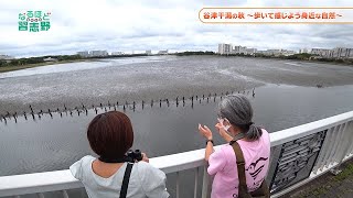 谷津干潟の秋～歩いて感じよう身近な自然～／【響け！谷津小校歌】(なるほど習志野:R4年10月号）