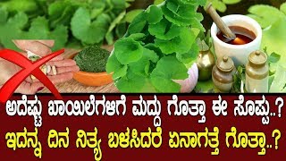 ಈ ಸೊಪ್ಪನ್ನು ದಿನಾ ಬಳಸೋದ್ರಿಂದಾ ಏನಾಗತ್ತೆ ಗೊತ್ತಾ..?  Medicinal values of Brahmi -Centella asiatica