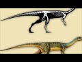 incredible ancient animals chilesaurus diegosuarezi nature