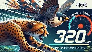 বিশ্বের দ্রুততম প্রাণী কি? | অবাক করা তথ্য | Peregrine Falcon এর বিস্ময়কর গতি!