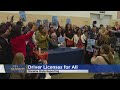 Immigrants react to signing of “driver’s licenses for all” bill