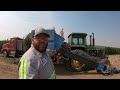 how lavender is planted harvested and distilled