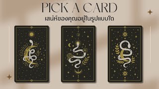 Pick a card | เสน่ห์ของคุณอยู่ในรูปแบบใด