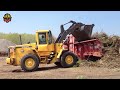 incredible powerful wood chipper machines in action fastest tree shredder machines working