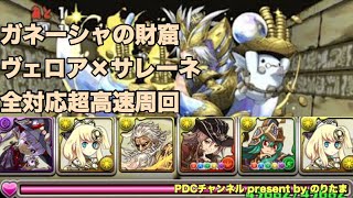 【片側ヴェロア】ガネーシャの財窟【高速周回】