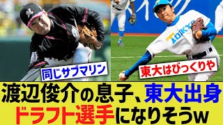 渡辺俊介の息子、東大出身ドラフト選手になってしまいそうｗｗｗｗ【なんJ なんG野球反応】【2ch 5ch】