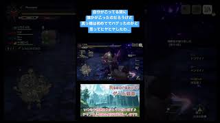 【MHRiseSB】何かのバグ?!乙った時に画面真っ暗で音声から察したw #mhrise #shorts #モンハン #モンハンライズ #サンブレイク #バグ #びっくり