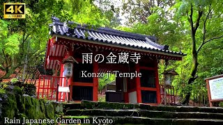 【 金蔵寺 】🇯🇵☔️京都洛西の秘境のお寺 ｜ 雨の境内 ｜ 癒しの雨の音 ｜ Japanese garden in Kyoto