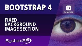 Bootstrap 4 Basics Fixed Background Image Section