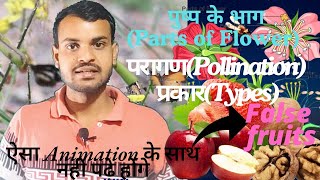 पुष्प भाग|परागण|प्रकार|स्वपरागण|परपरागण|फल|Flower parts|Pollination|types|True Fruits|False Fruits|