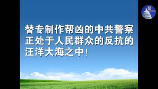 视频：沈阳公安局遭民众报复袭击（3/28）