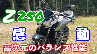 【Z250】(おすすめ250ccバイク)インプレッション前編　こんないいバイクがあったなんて知らなかった