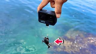カニとGoProを海に落とすと…