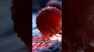 Scientists Destroy 99% of Cancer Cells with Vibrating Molecules! 2024-09-05