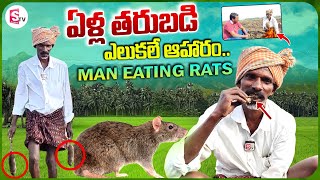 ఎలుకలే ఆహారంగా.. | Man Eating Rats From His Chidlhood | Food Videos | SumanTV Vijayawada