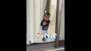 【1歳4ヶ月】車の音でパパの帰宅に気付く息子が愛しい　#shorts #tiktok #お出迎え