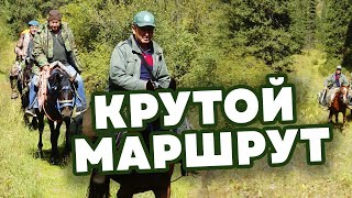 Какие новые направления туризма развиваются в Алматы? «Outdoor Central Asia» | Jibek Joly TV