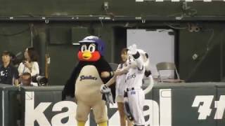 つば九郎 10点ビハインドの怒りをぶつけるww 2019.06.14 プロ野球交流戦 西武ライオンズvsヤクルトスワローズ