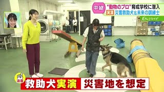 動物のプロを育成！道内随一の動物専門学校に潜入【どさんこワイド179】2024.11.08放送