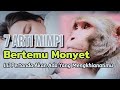 DIA AKAN MENGKHIANATIMU !! 7 ARTI MIMPI BERTEMU MONYET, INI PERTANDA BURUK UNTUKMU