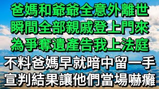 爸媽和爺爺全意外離世，瞬間全部親戚登上門來，為爭奪遺產告我上法庭，不料爸媽早就暗中留一手，宣判結果讓他們當場嚇癱 小柳夜聽 #情感故事 #推文