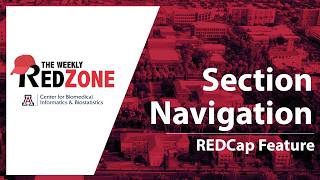 REDZone - Section Navigation