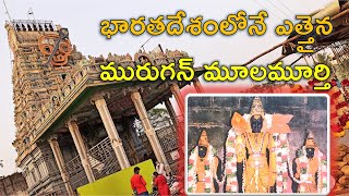 [CC] వల్లకోట్టై శ్రీ సుబ్రహ్మణ్యస్వామి (మురుగన్) ఆలయం Vallakottai Subramaniyaswami (Murugan) Temple