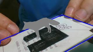 Augmented reality with Python and OpenCV: Fox demo II