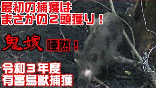 【狩猟】Vol.35 令和３年度捕獲対策はじまる！鬼嫁唖然！新年度最初の捕獲はまさかの２頭獲り！ ※止め刺し、出血シーンあり注意【猪】【わな猟】