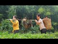 Dwarf family - Harvesting fairy peaches - Handmade porcupine traps - Warm meal with family