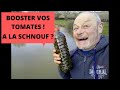 BOOSTER VOS TOMATES A LA   SCHNOUF   ???    !!!!!!!!🤪