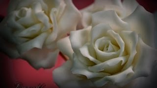 COME FARE LE ROSE IN PASTA DI ZUCCHERO, SEMPLICISSIMO!