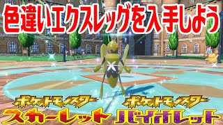 【ポケモンSV】色違いエクスレッグを入手しよう 進化入手【ポケットモンスター スカーレット・バイオレット】Pocket Monsters