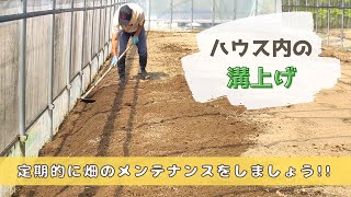 【農家必見】ハウス内の溝上げ