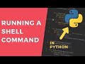 Running an external shell command - 1 Minute Python Tutorial #shorts