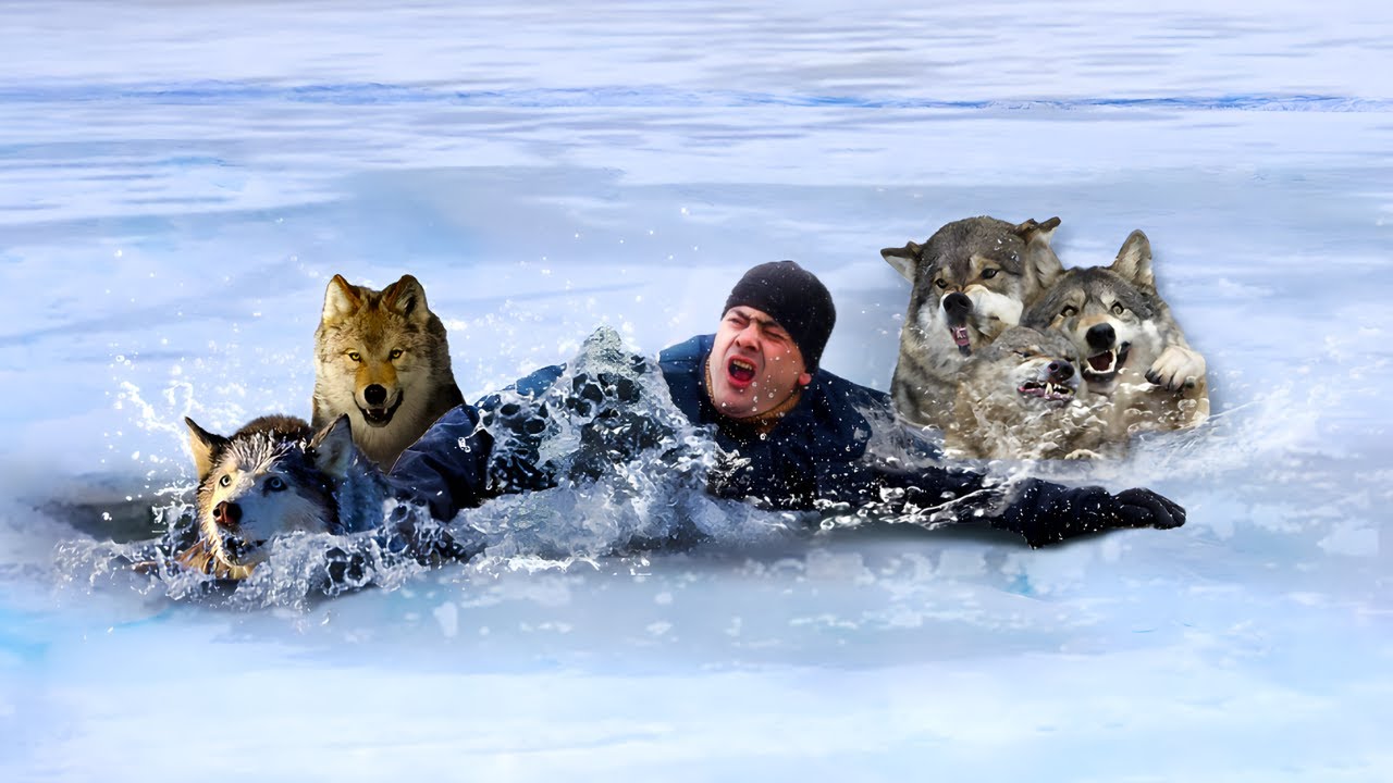 He Rescued The Wolves When They Got Trapped In Ice, But You Won't ...