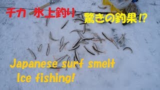 北海道　佐呂間別川の氷上釣りでチカ！Surf smelt ice fishing! great catch.