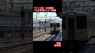 【JR東日本】キハ110系205編成　高崎駅到着