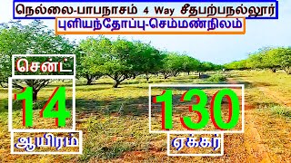 நெல்லை- பாபநாசம் 4 way To பாதை. 130 ஏக்கர் புளியந்தோப்பு. சென்ட் 14 ஆயிரம்-1853-024.09.16 home #JJJ