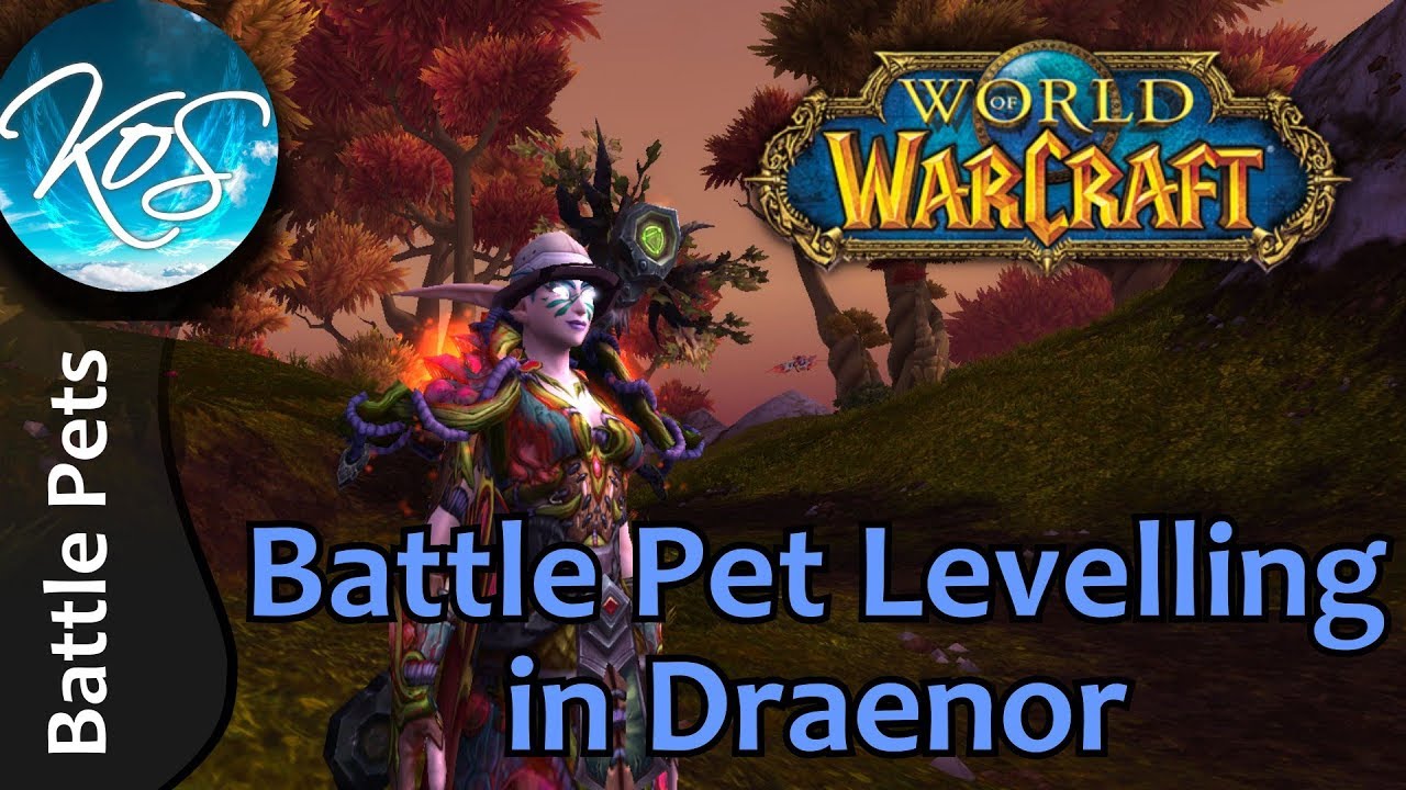 World Of Warcraft: BATTLE PET LEVELLING IN DRAENOR + TIPS & TRICKS ...