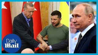 Turkey's Erdogan defies Putin: Supports Zelensky at Ukraine summit