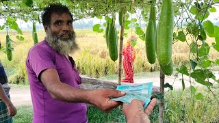 আজ কত টাকা সাঁচি লাউ  বিক্রি করলাম।