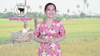 ជីកសិកម្មសញ្ញារូបគោ ធានាគុណភាពពិសេស