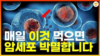 의사들도 놀란👀 암세포 파괴하는 항암식품💪!암 환자와 암예방에 좋은음식[항암음식, 암예방음식, 암세포억제]